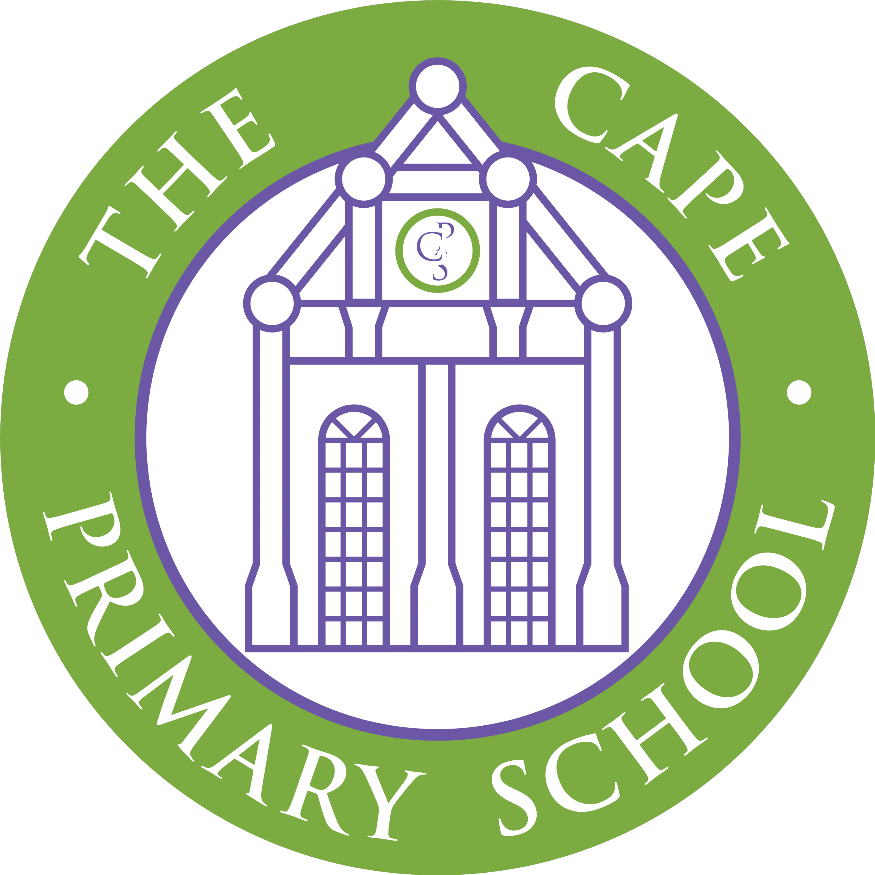 The Cape Primary School Science